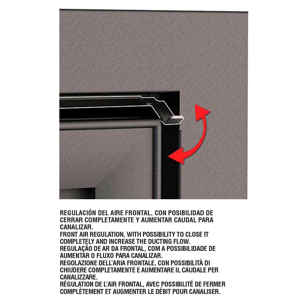 Estufa de Leña Insertable Paris 55 (Bronpi)